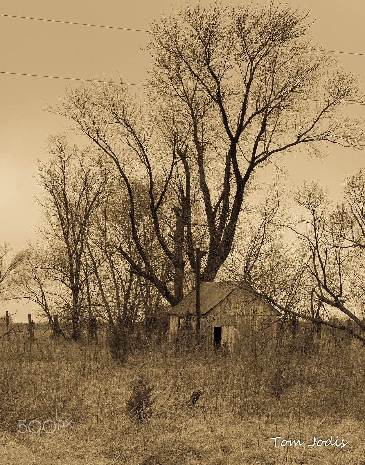 Nikon D700 sample photo. Barn photography