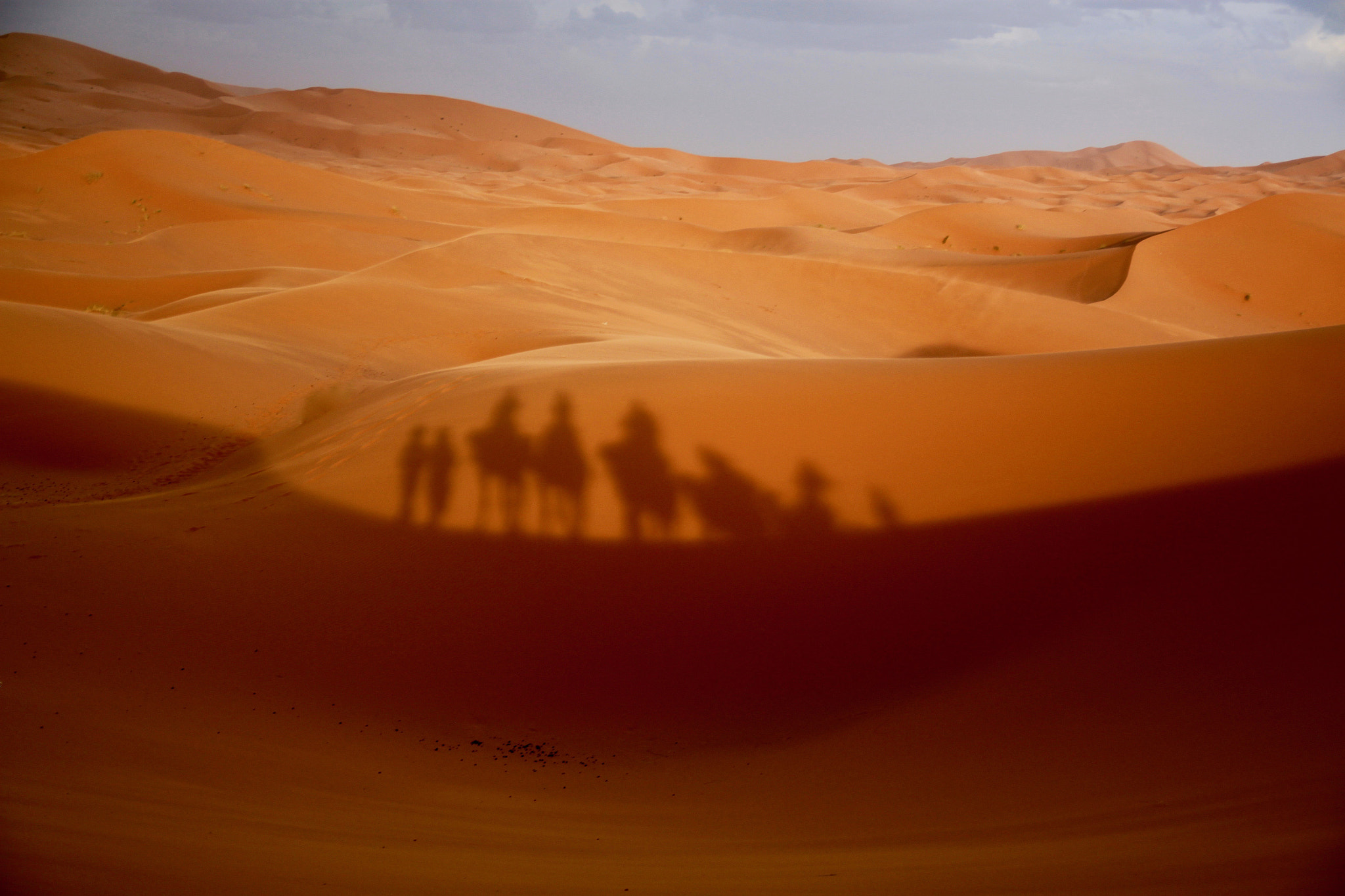 Canon EOS 500D (EOS Rebel T1i / EOS Kiss X3) sample photo. Sahara sunset photography