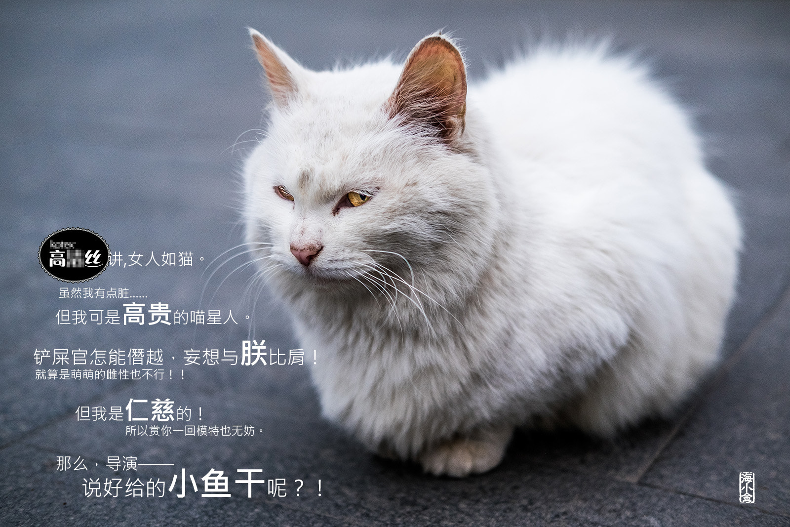 Fujifilm X-T1 + Fujifilm XF 35mm F2 R WR sample photo. Peep photography