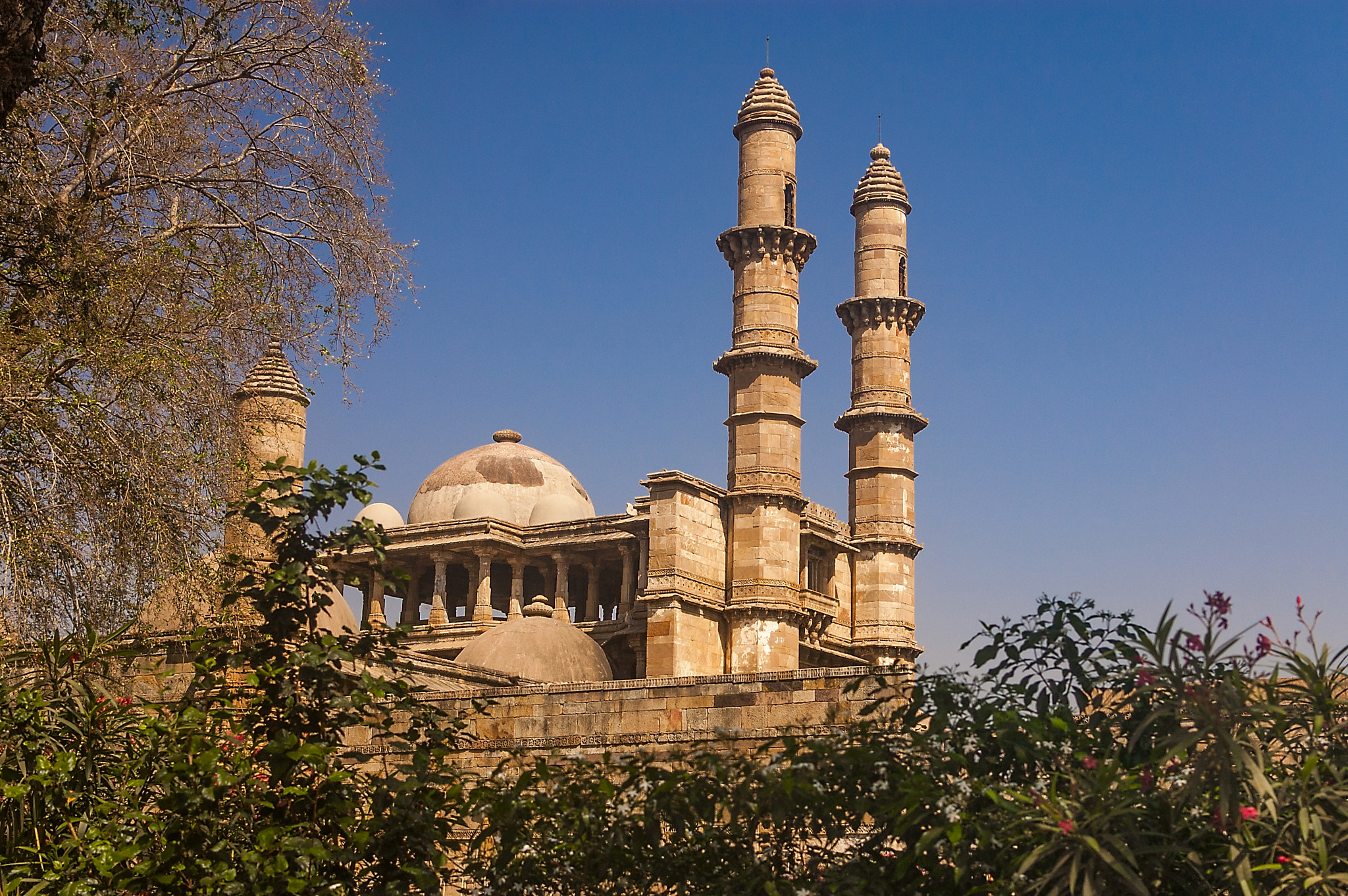 Nikon D40 sample photo. Jammi masjid photography