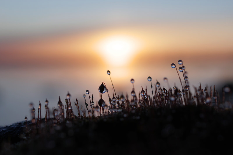 HD Pentax DA 35mm F2.8 Macro Limited sample photo. Sunrise photography