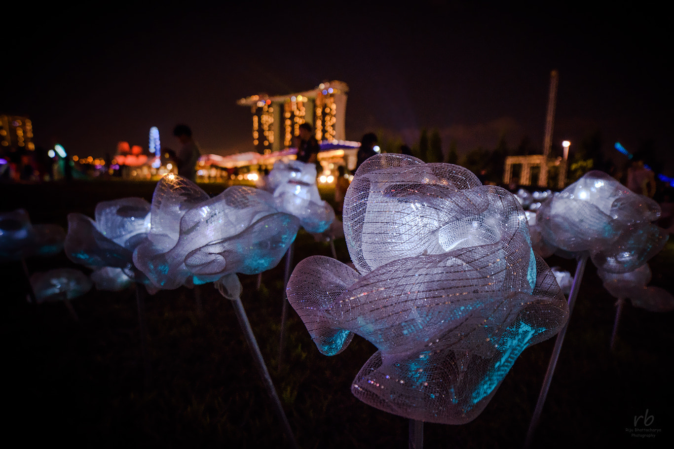 Samyang 14mm F2.8 ED AS IF UMC sample photo. Ilight festival, marina bay photography