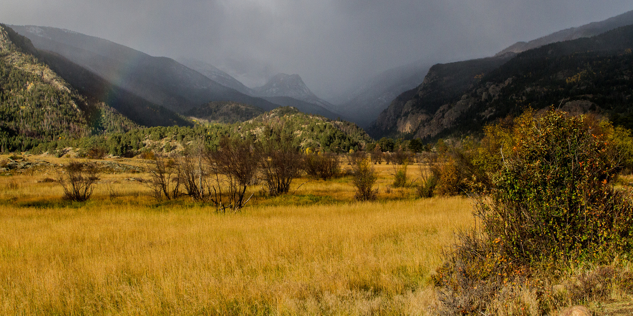 Canon EOS 7D sample photo. Foggy autumn morning photography