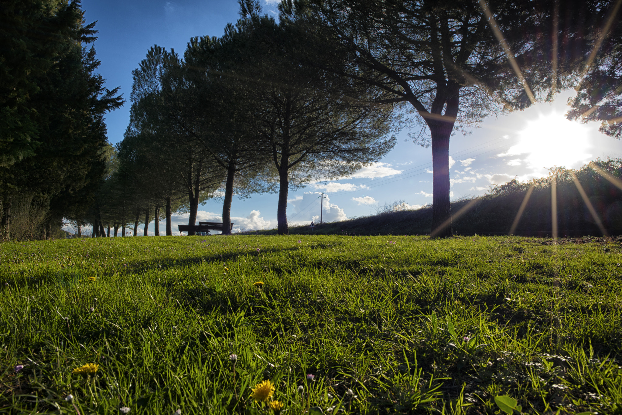 Nikon AF-S Nikkor 24mm F1.8G ED sample photo. Under the spring sun photography