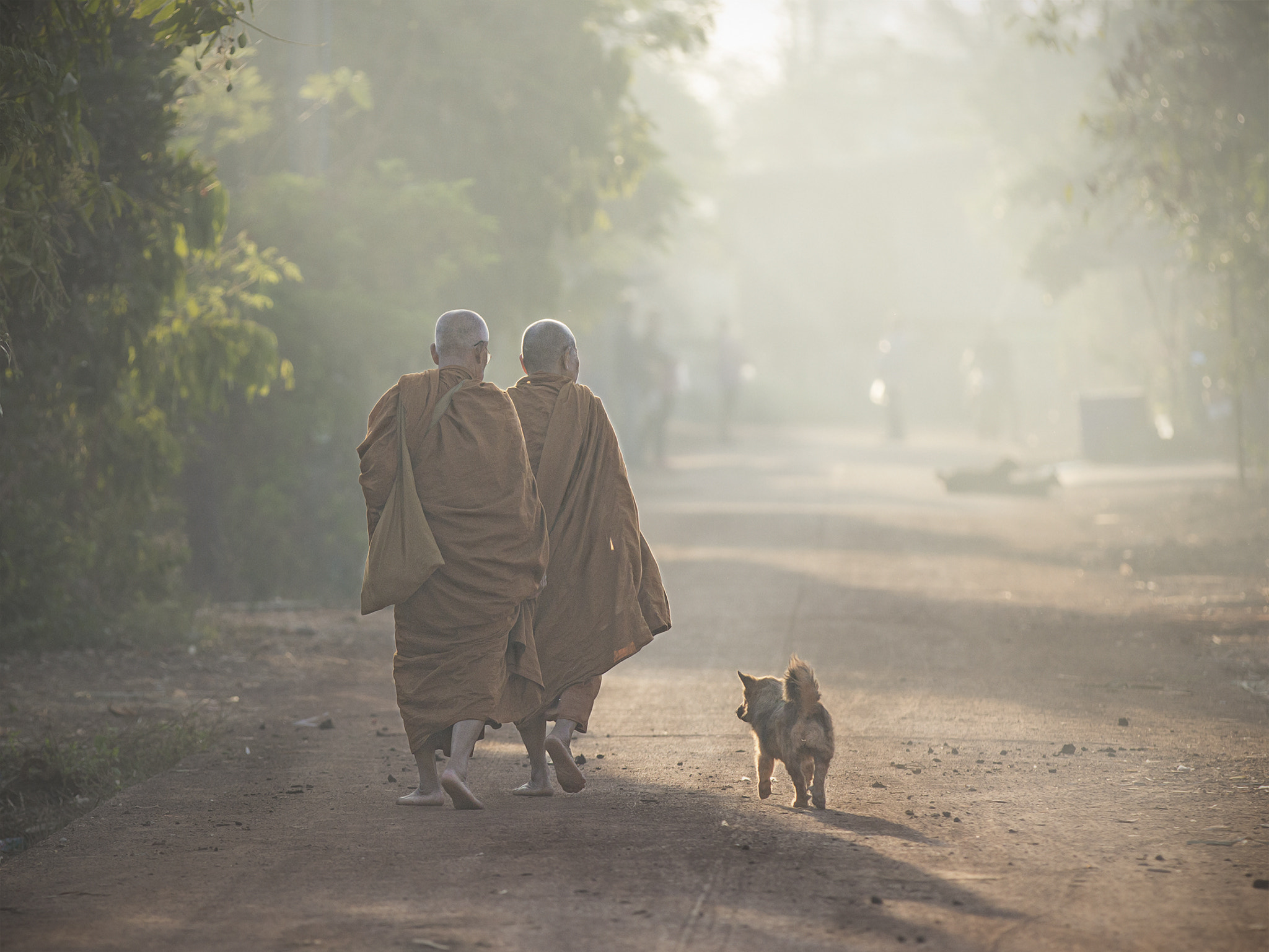 Canon EOS 60D sample photo. Alms-around of thai monks in the morning. photography