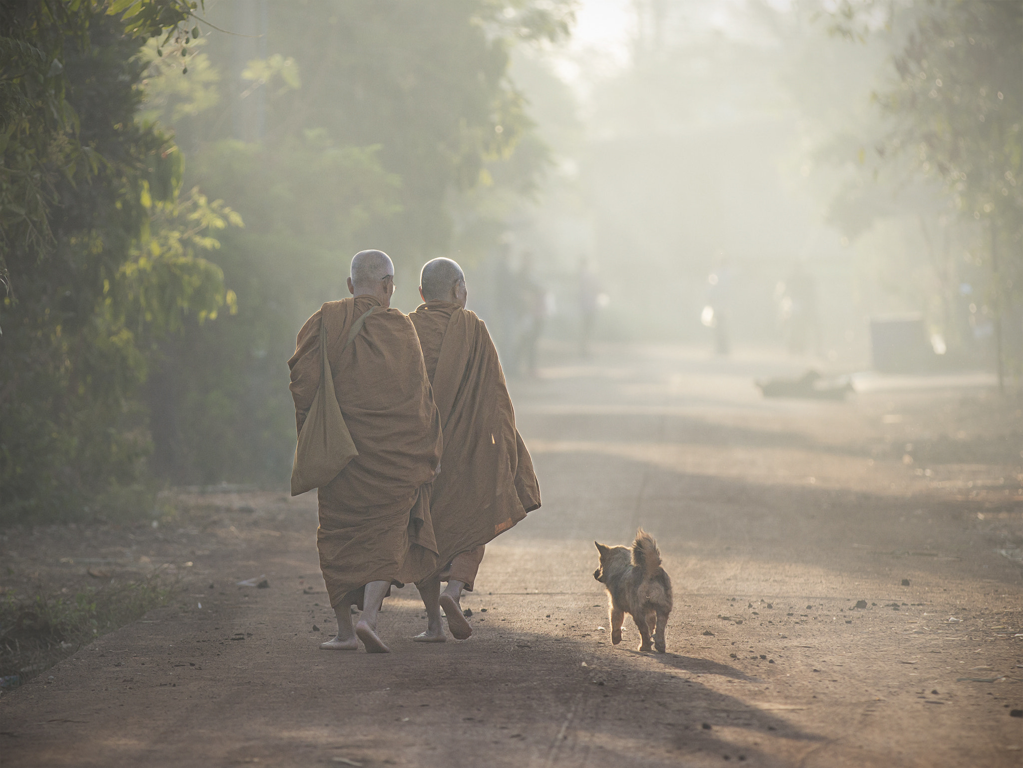 Canon EF 70-200mm F2.8L IS II USM sample photo. Alms-around of thai monks in the morning. photography