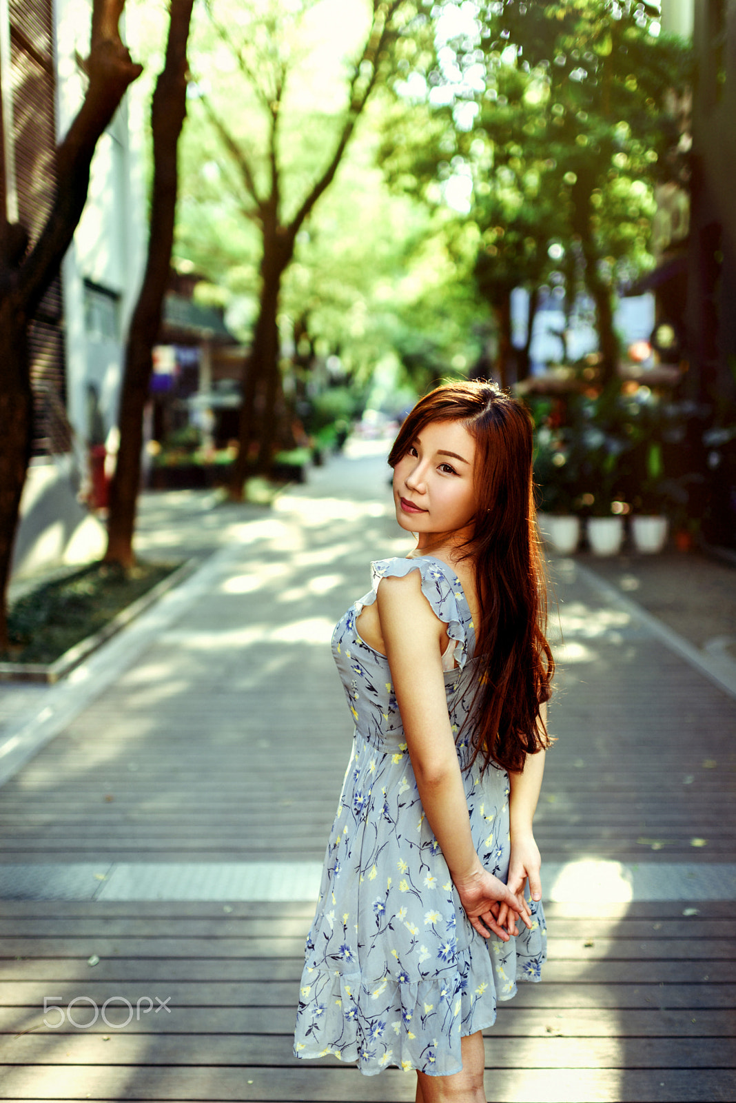 Nikon AF-S Nikkor 35mm F1.4G sample photo. Sunshine and green photography
