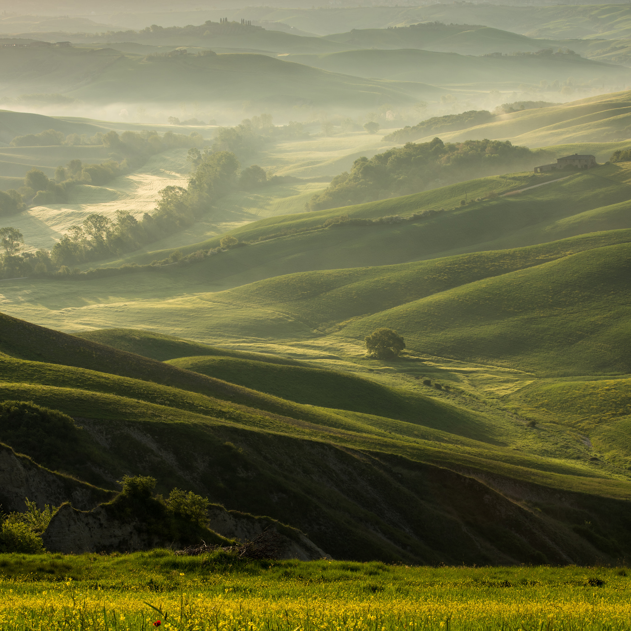 Nikon D810 + Tamron SP 70-200mm F2.8 Di VC USD sample photo. Crete senesi photography