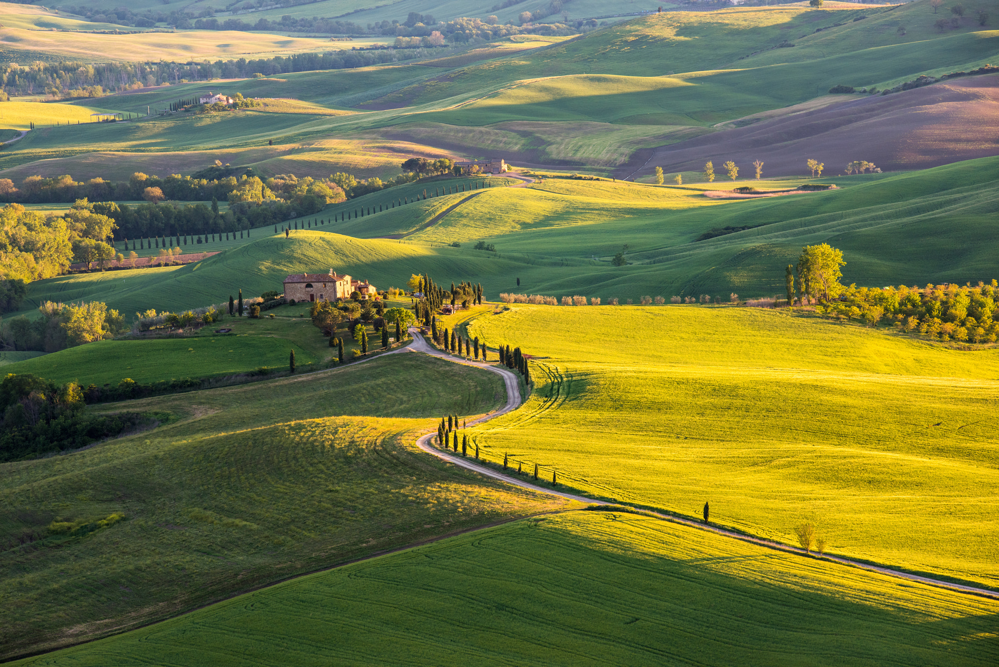 Nikon D810 + Tamron SP 70-200mm F2.8 Di VC USD sample photo. Landscape in tuscany photography