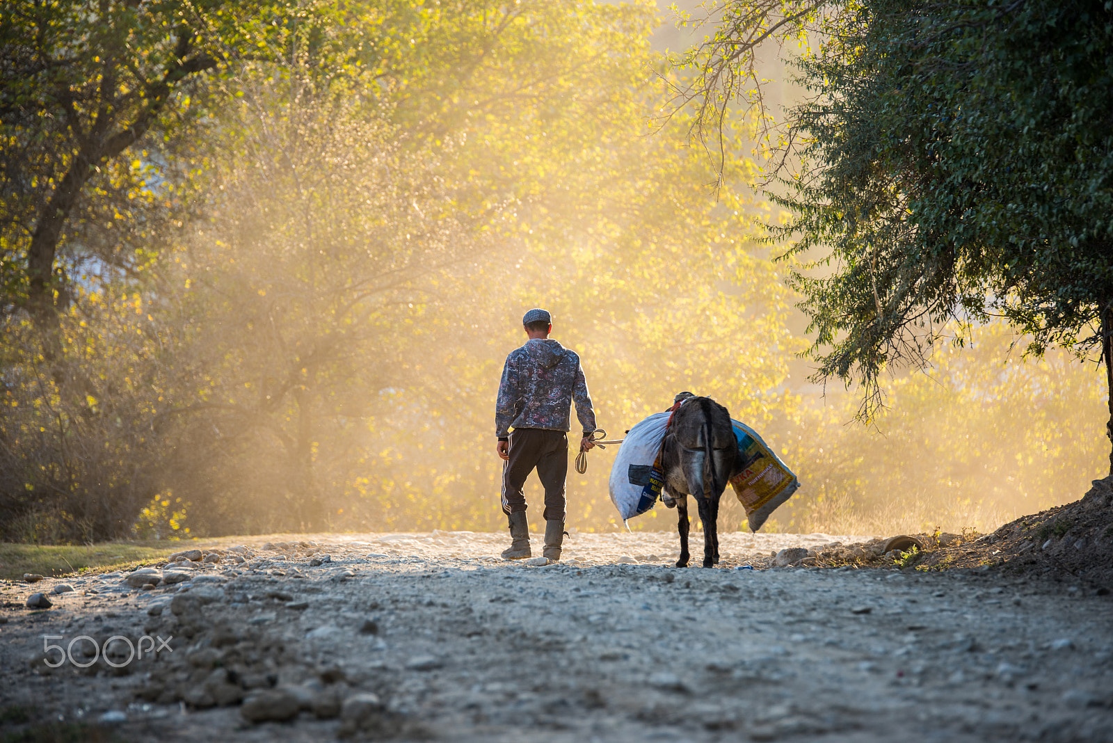 Nikon D810 + Tamron SP 70-200mm F2.8 Di VC USD sample photo. A man and his donkey photography