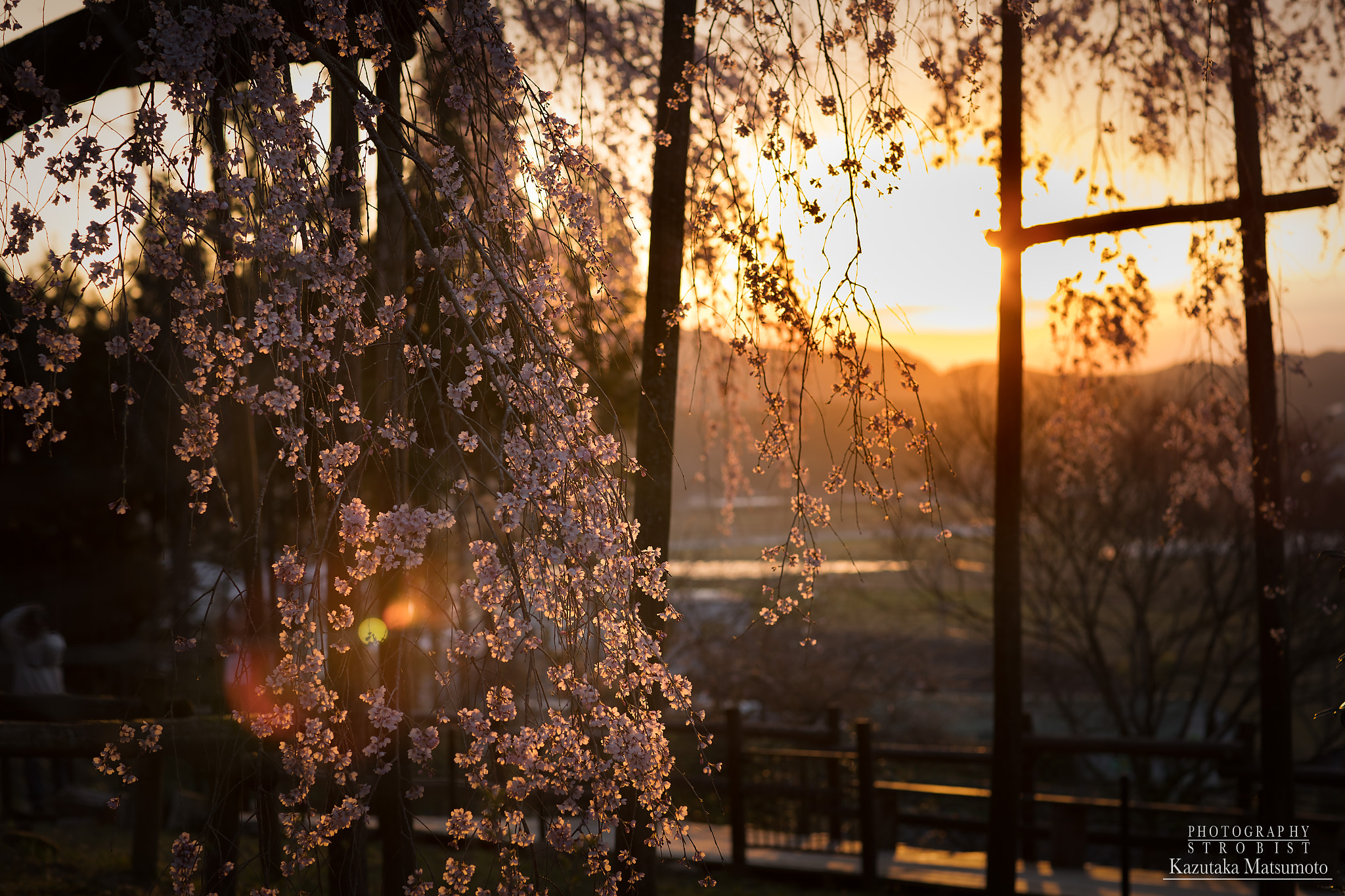 Canon EF 85mm F1.2L II USM sample photo