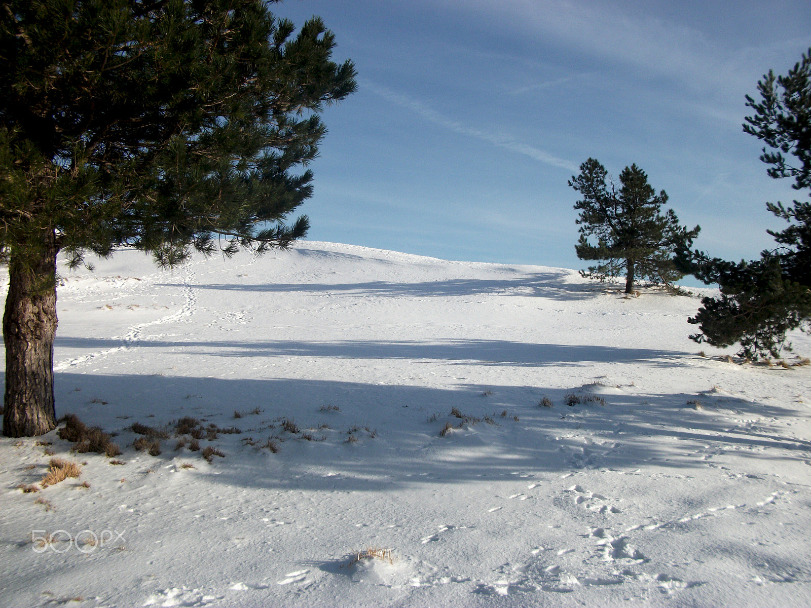 Fujifilm A235 sample photo. "snow in campocecina" photography
