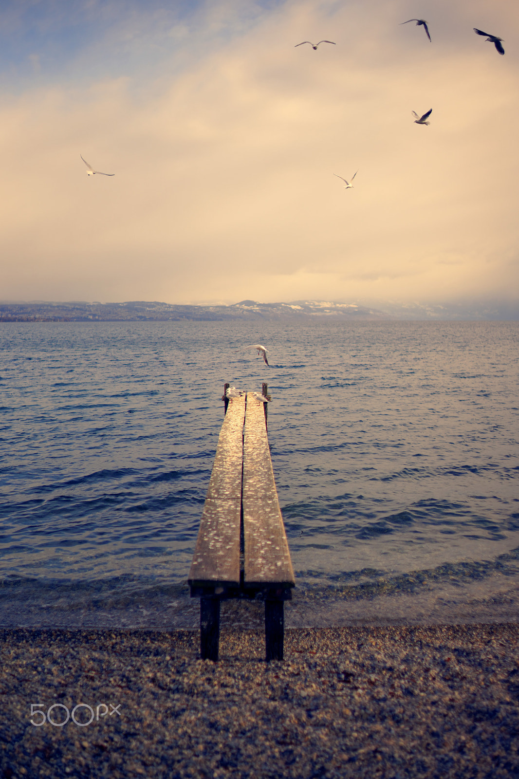 Sony 35mm F1.4 G sample photo. Lac léman, saint-prex, 05-01-2017 (#3, color) photography