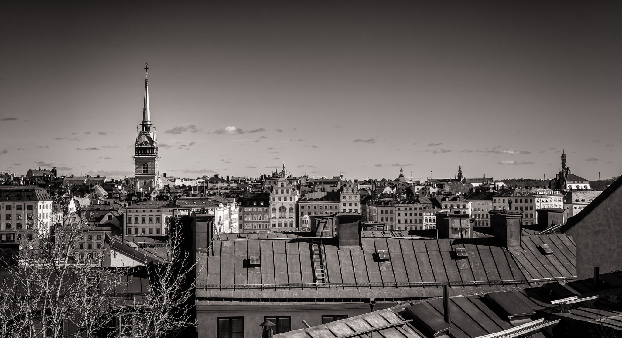 Nikon D600 sample photo. Stockholm from above photography