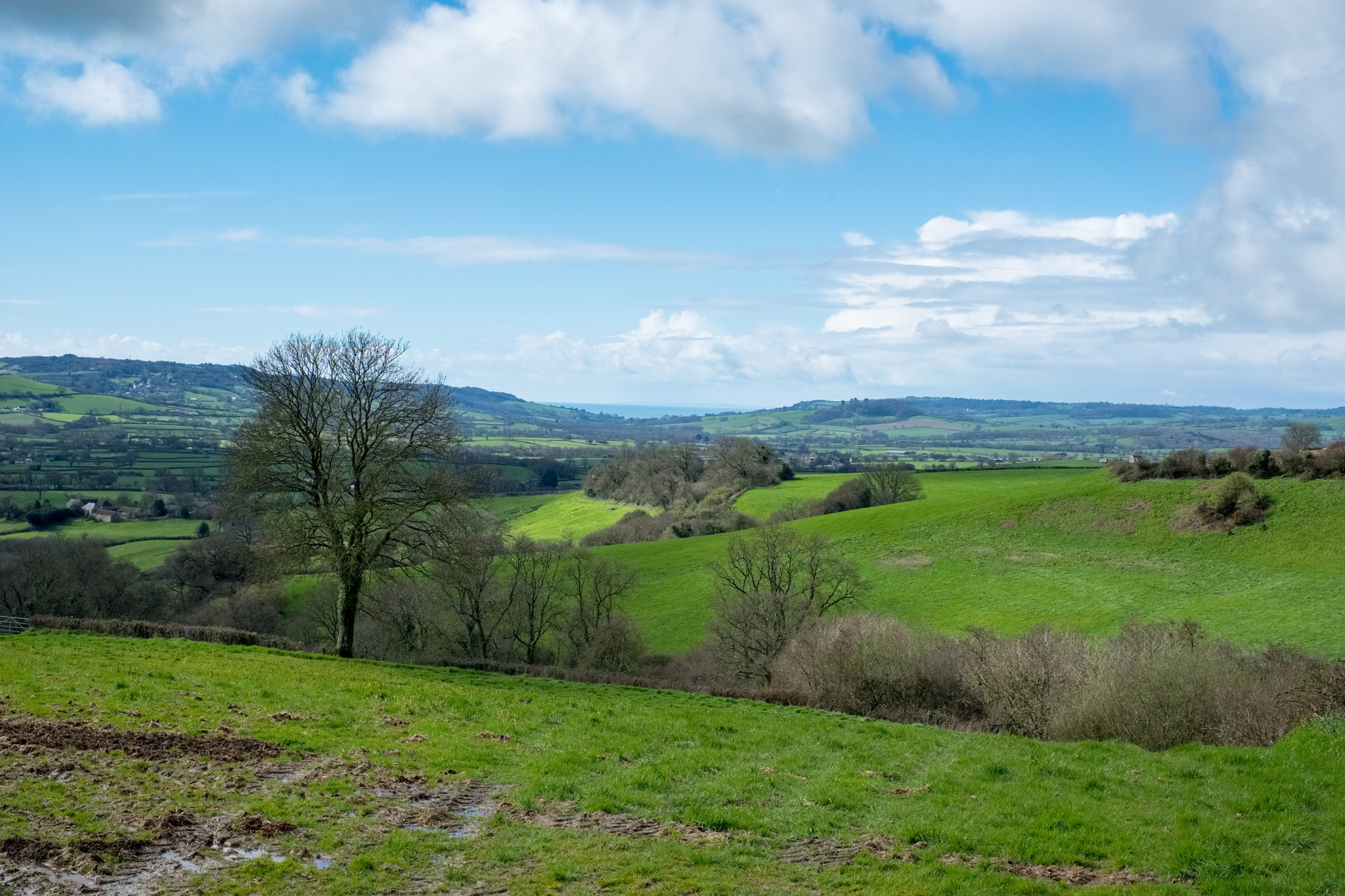 Fujifilm X-T2 sample photo. Scenic view of the undulating countryside of somerset photography