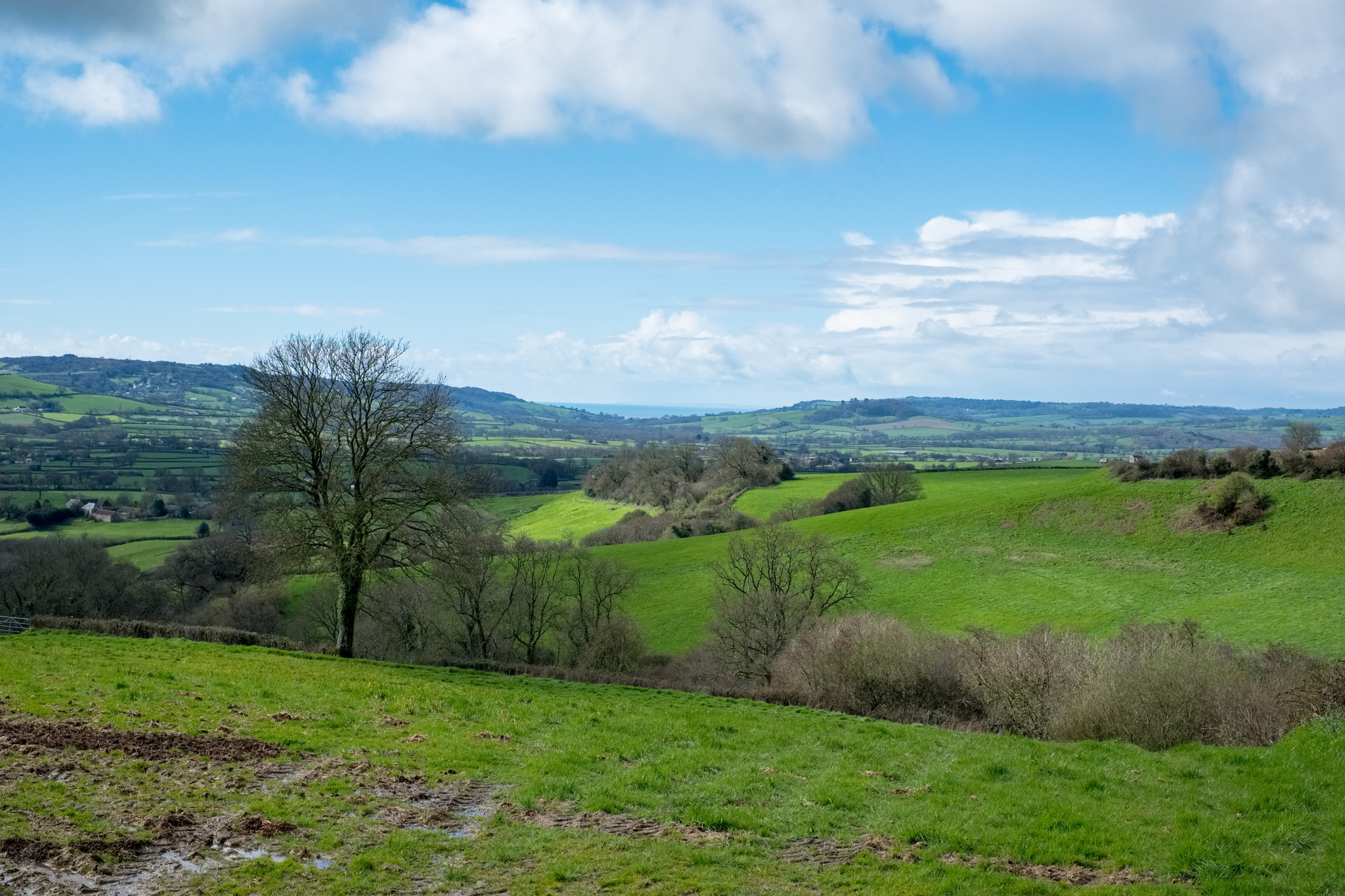 Fujifilm X-T2 + Fujifilm XF 35mm F1.4 R sample photo. Scenic view of the undulating countryside of somerset photography