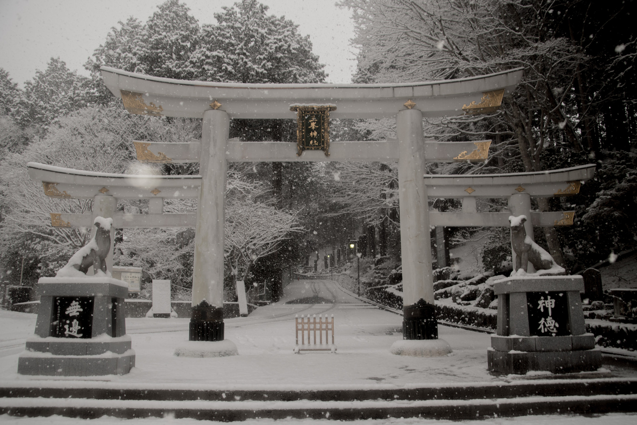 Nikon D5500 sample photo