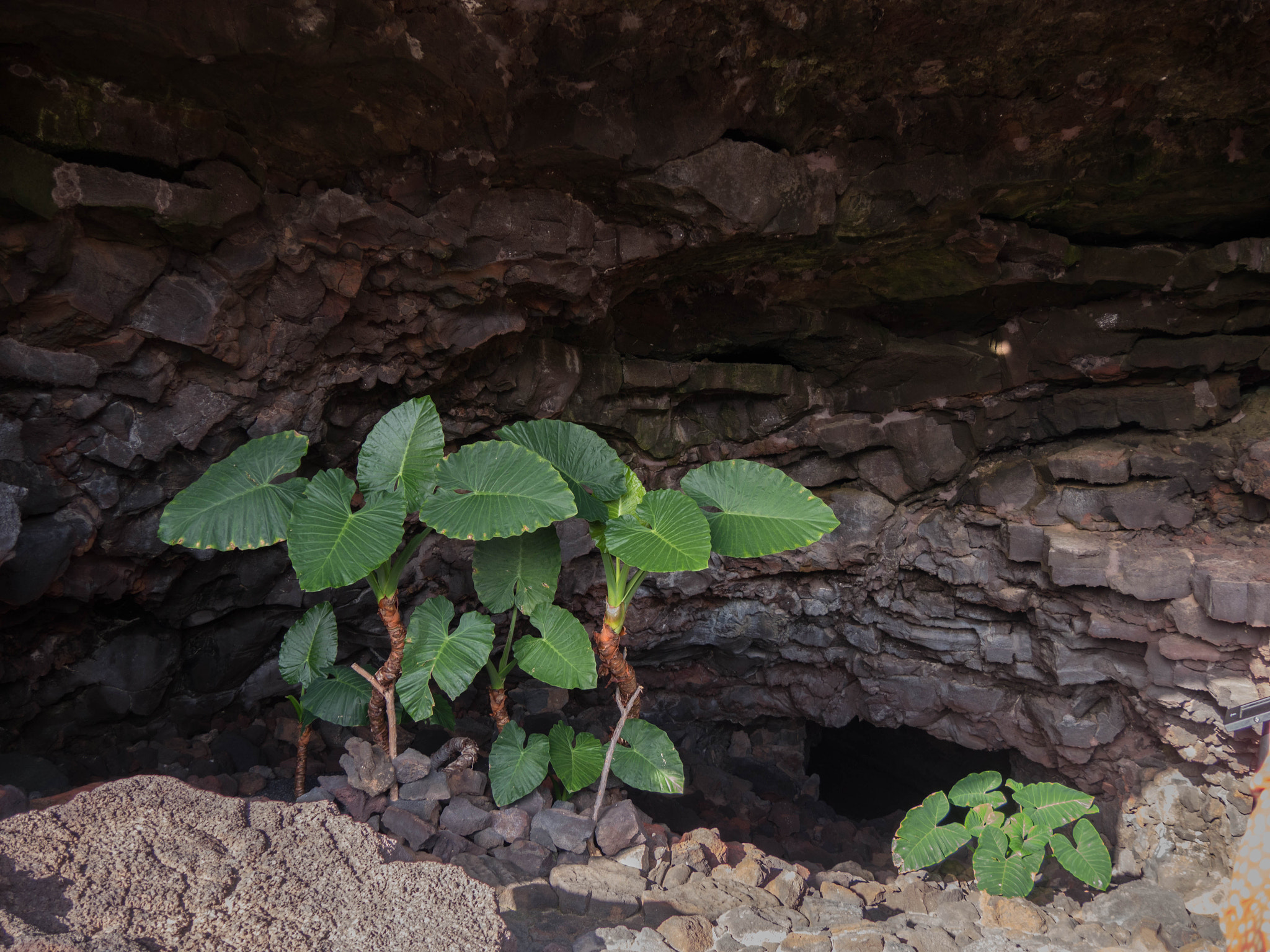 Panasonic Lumix DMC-GX8 sample photo. -1702_caves003003.jpg photography
