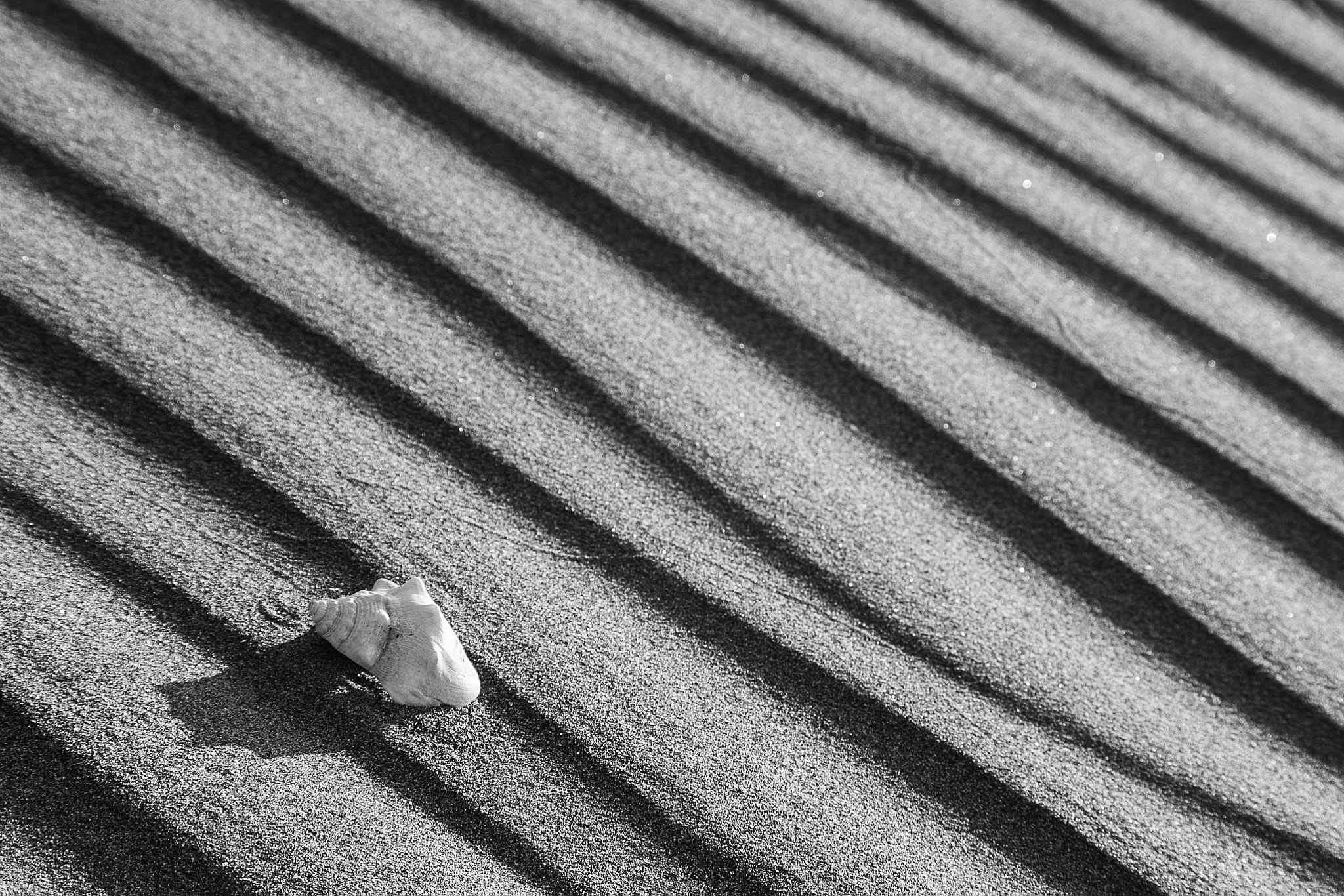 Pentax K-1 sample photo. Soledad en las dunas !! photography