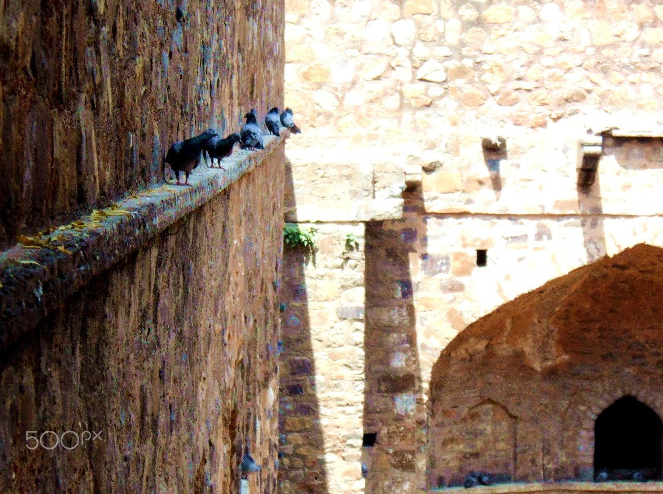 Nikon COOLPIX S2700 sample photo. Baoli photography