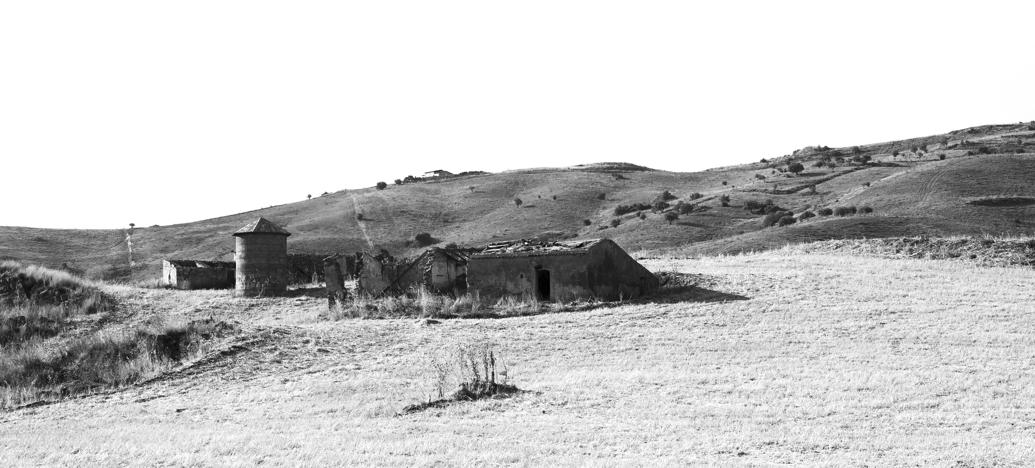 Nikon D7000 + Nikon AF-S Nikkor 50mm F1.8G sample photo. Sicily countryside photography