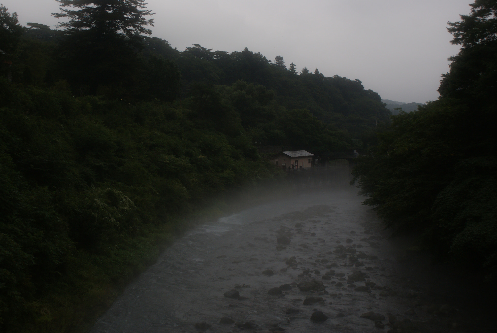 Sony Alpha DSLR-A300 sample photo. Fog in the rain photography