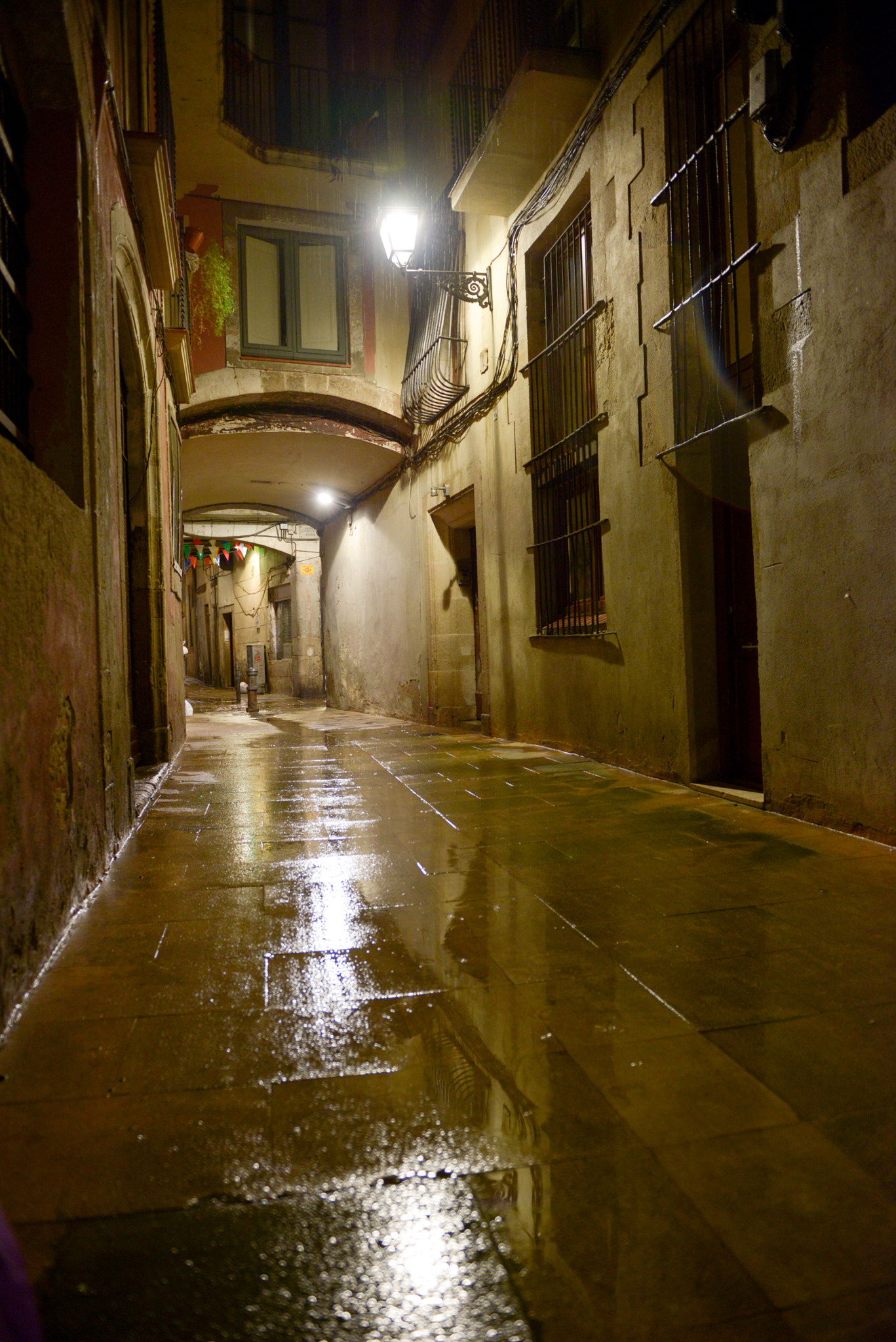 Nikon AF-S Nikkor 24-70mm F2.8G ED sample photo. Wet photography
