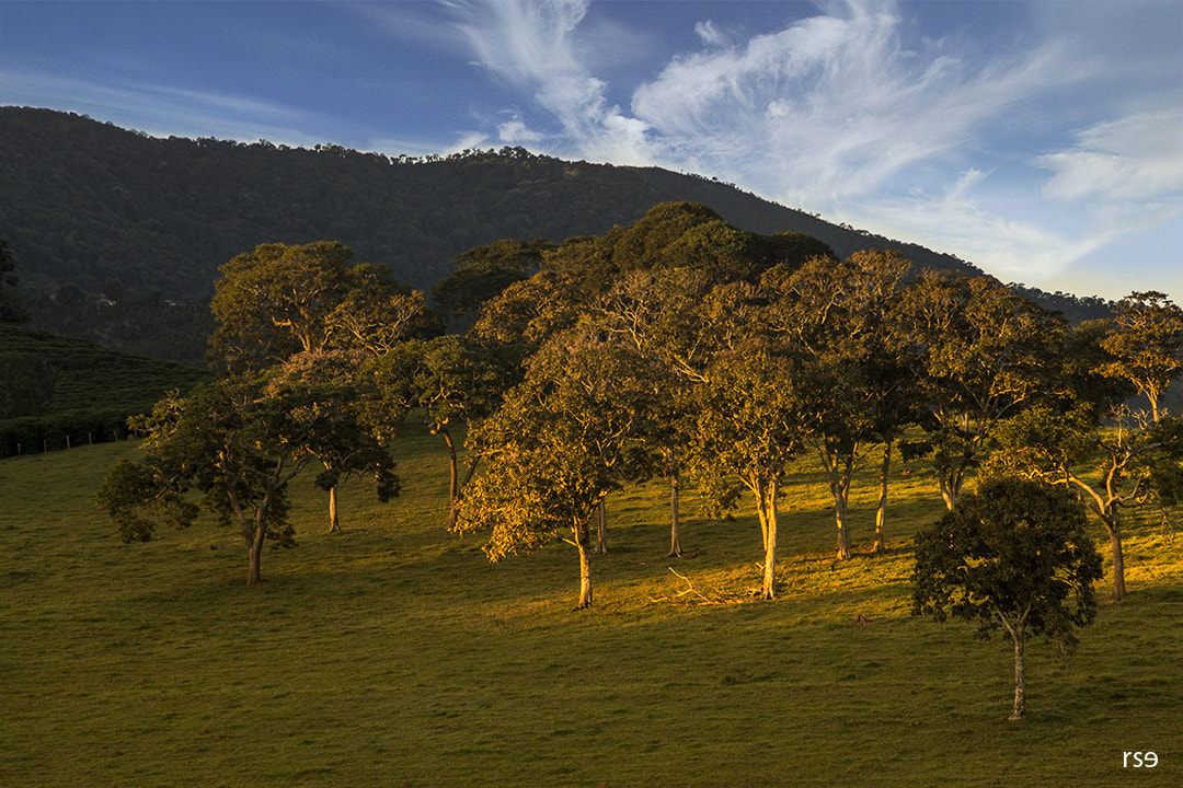 Canon EF 28-135mm F3.5-5.6 IS USM sample photo. Piedade srs photography