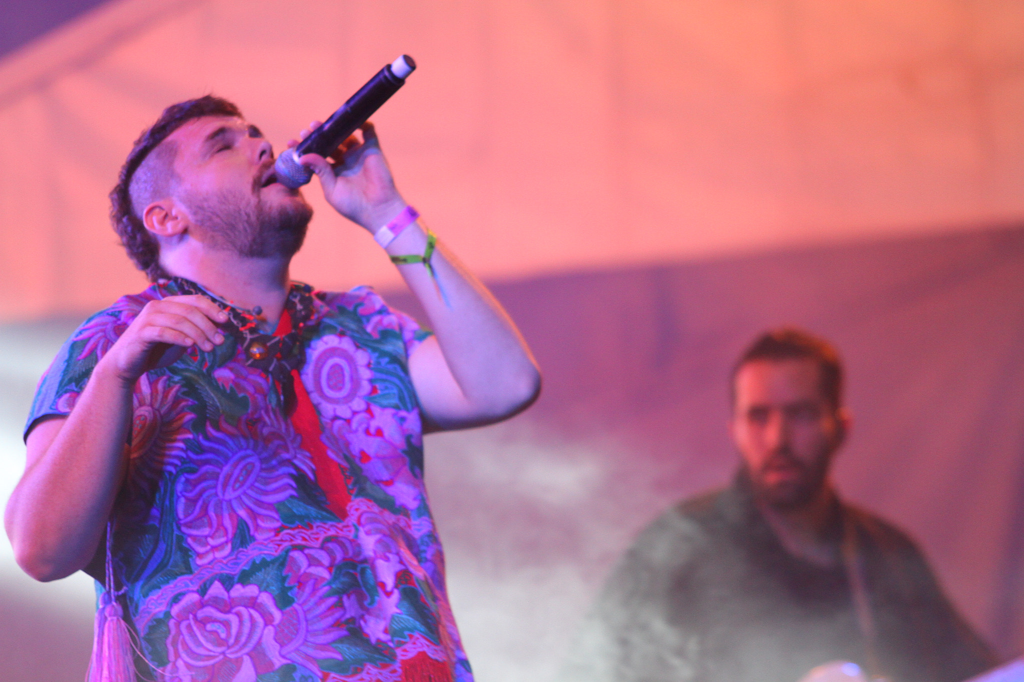 Canon EF 70-200mm F2.8L USM sample photo. Revolution fest 2015 photography
