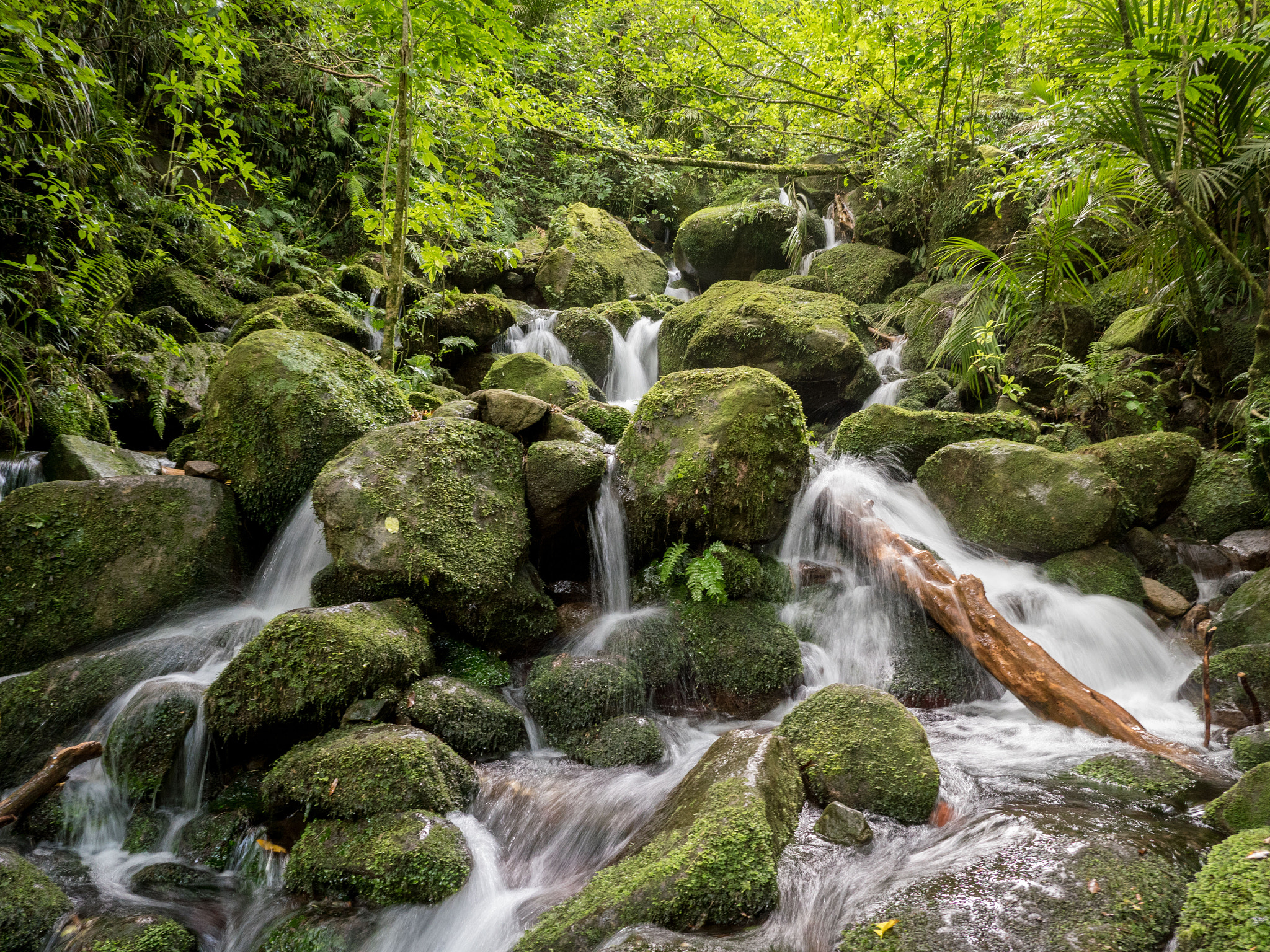 Panasonic Lumix G X Vario 12-35mm F2.8 ASPH Power OIS sample photo. Rapids en route to wairere falls photography