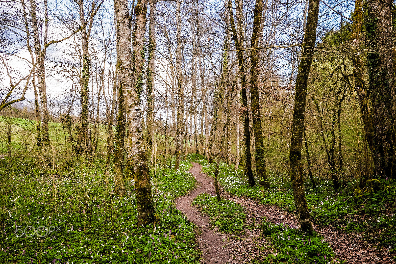 Fujifilm XF 23mm F2 R WR sample photo. Au bord de l'arnon photography