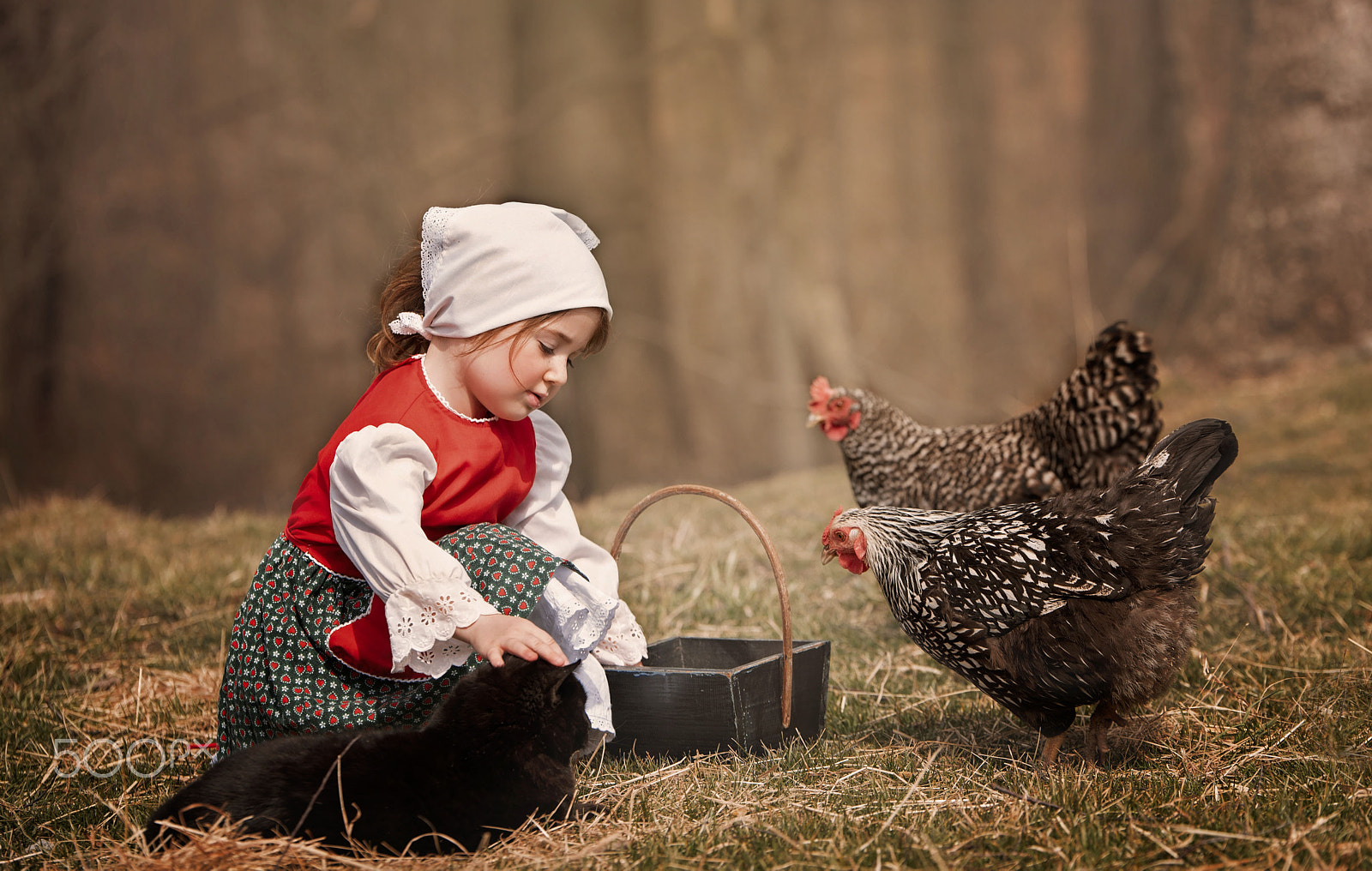 Nikon D750 sample photo. Farm photography