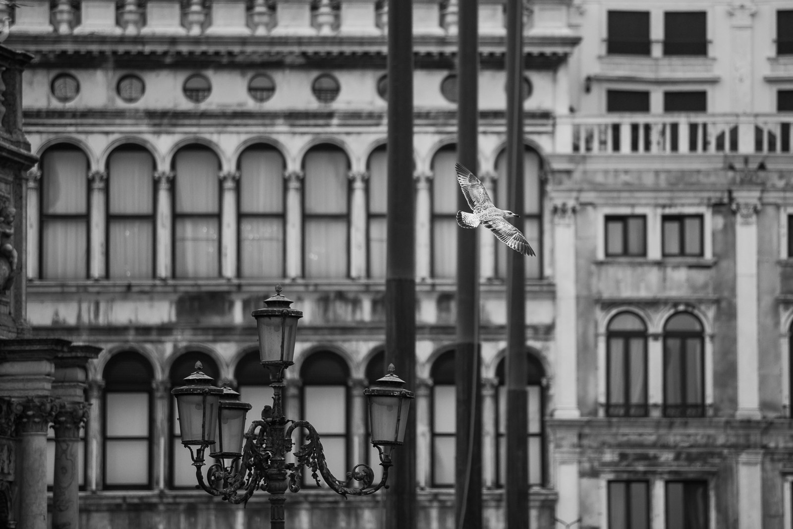Canon EF 70-200mm F2.8L USM sample photo. Flying over venice photography