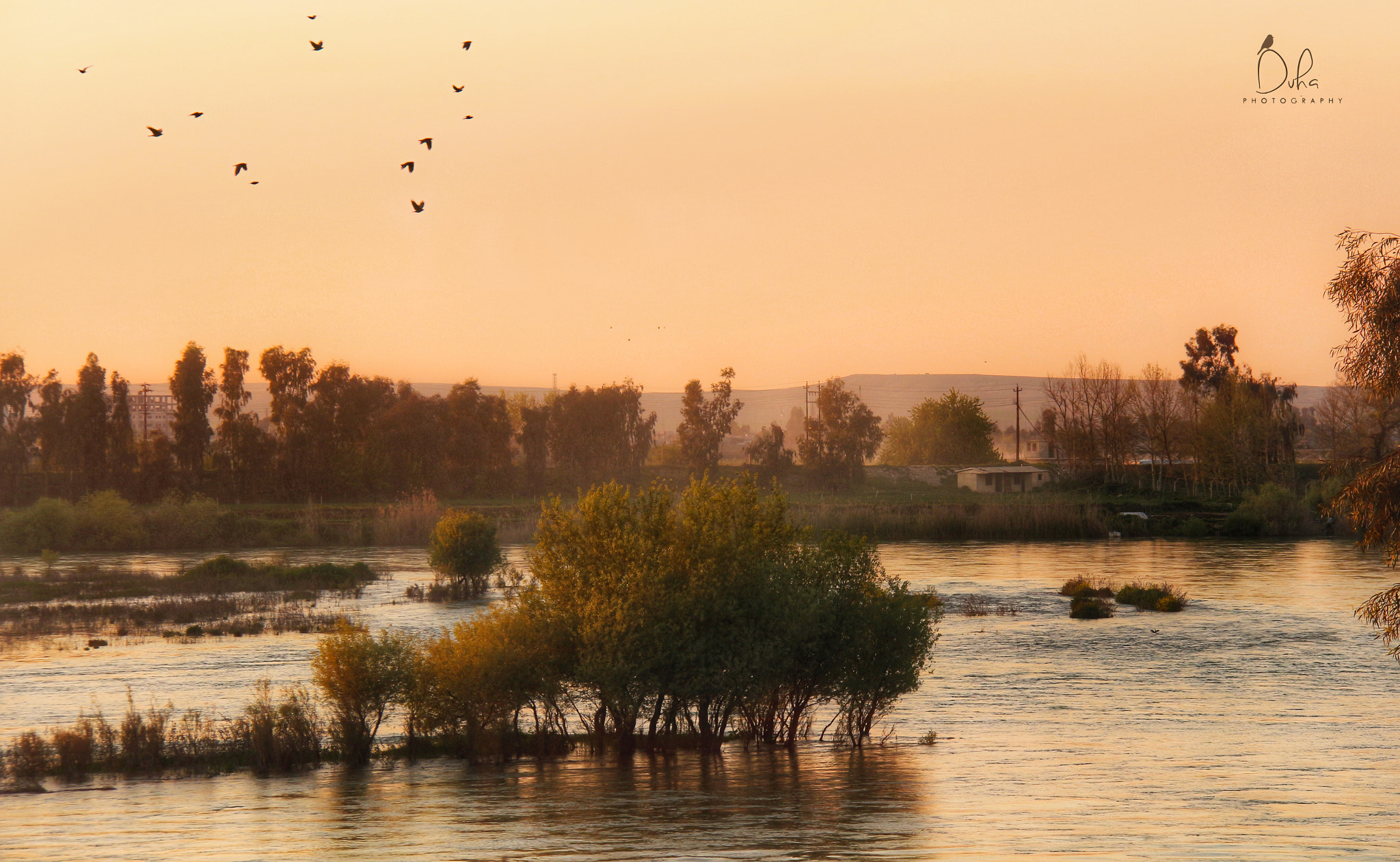 Canon EOS 650D (EOS Rebel T4i / EOS Kiss X6i) sample photo. Mosul photography
