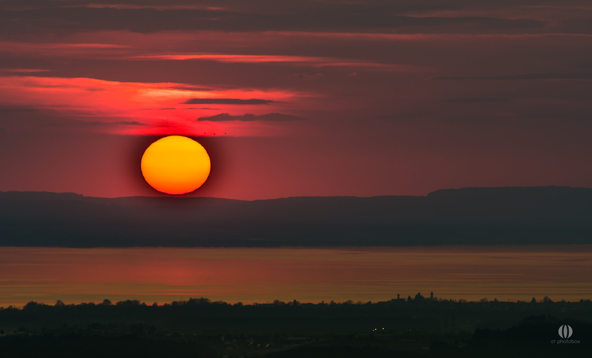 Nikon D500 sample photo. Sunset lake of constance photography
