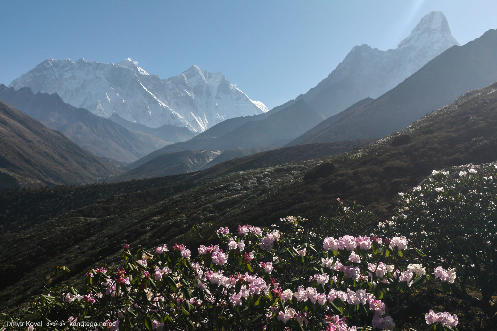 Canon EOS 30D + Canon EF 17-40mm F4L USM sample photo. Rhododendron view on lhotse, everest and ama dablam photography