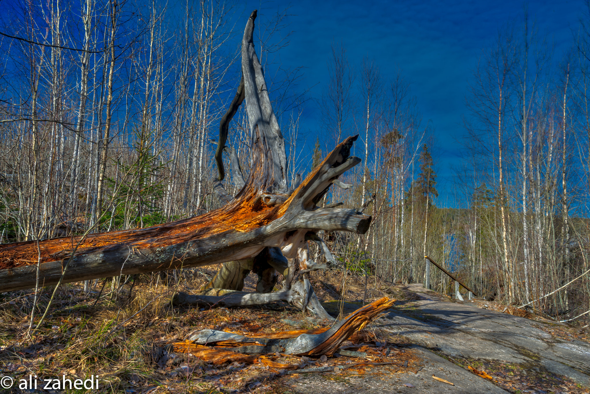 Sony a7R + Sony Vario-Tessar T* FE 16-35mm F4 ZA OSS sample photo. N:b photography