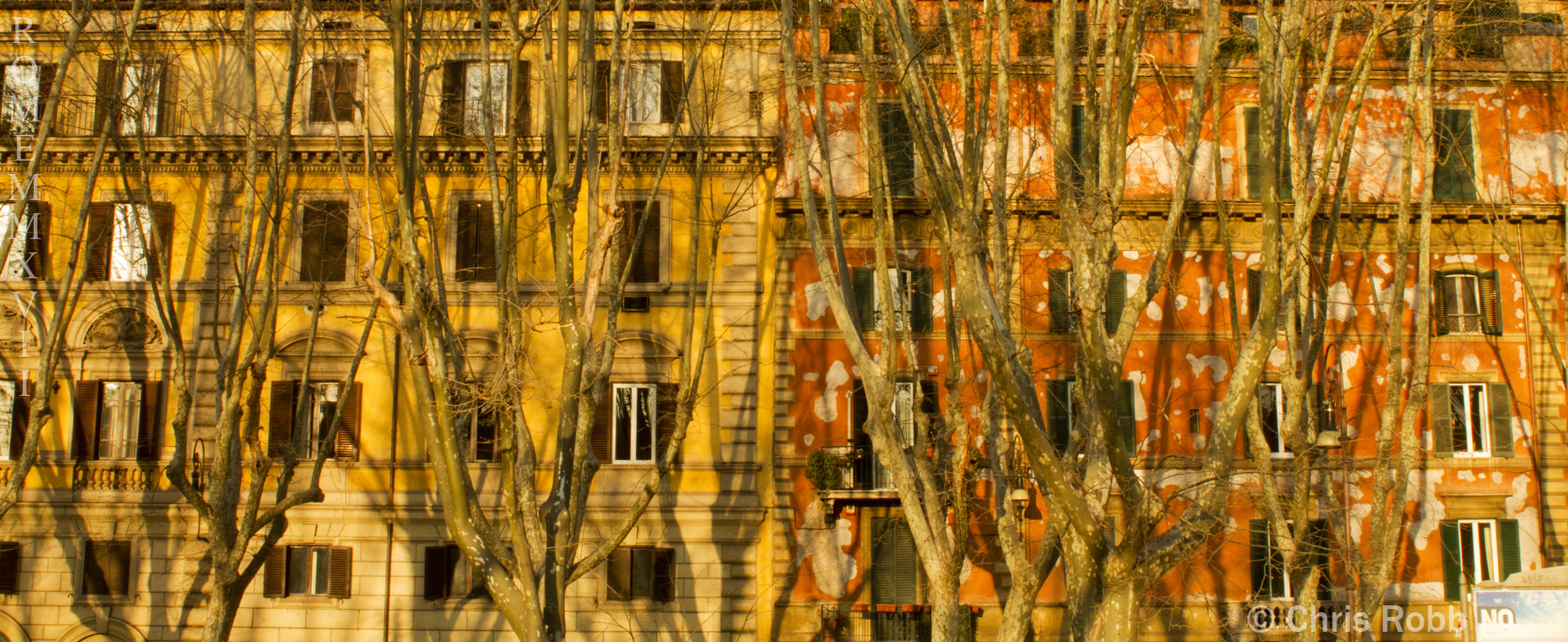 Canon EOS 7D + Canon EF 28mm F2.8 sample photo. Trees and apartments photography