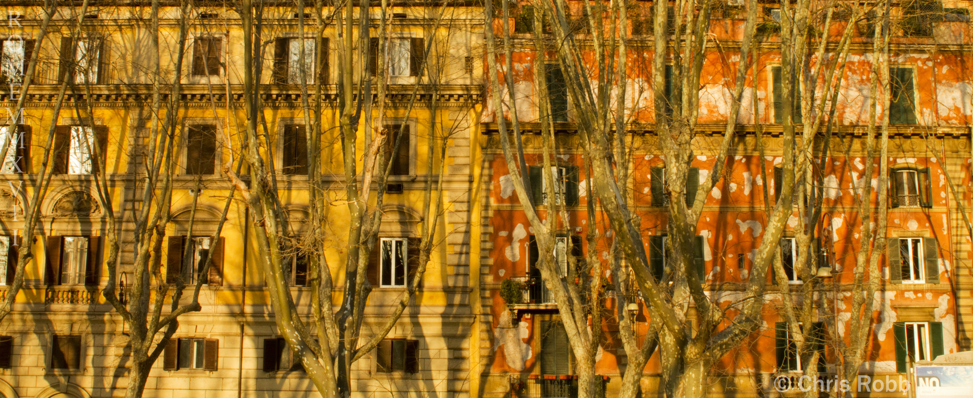 Canon EOS 7D + Canon EF 28mm F2.8 sample photo. Trees and apartments photography