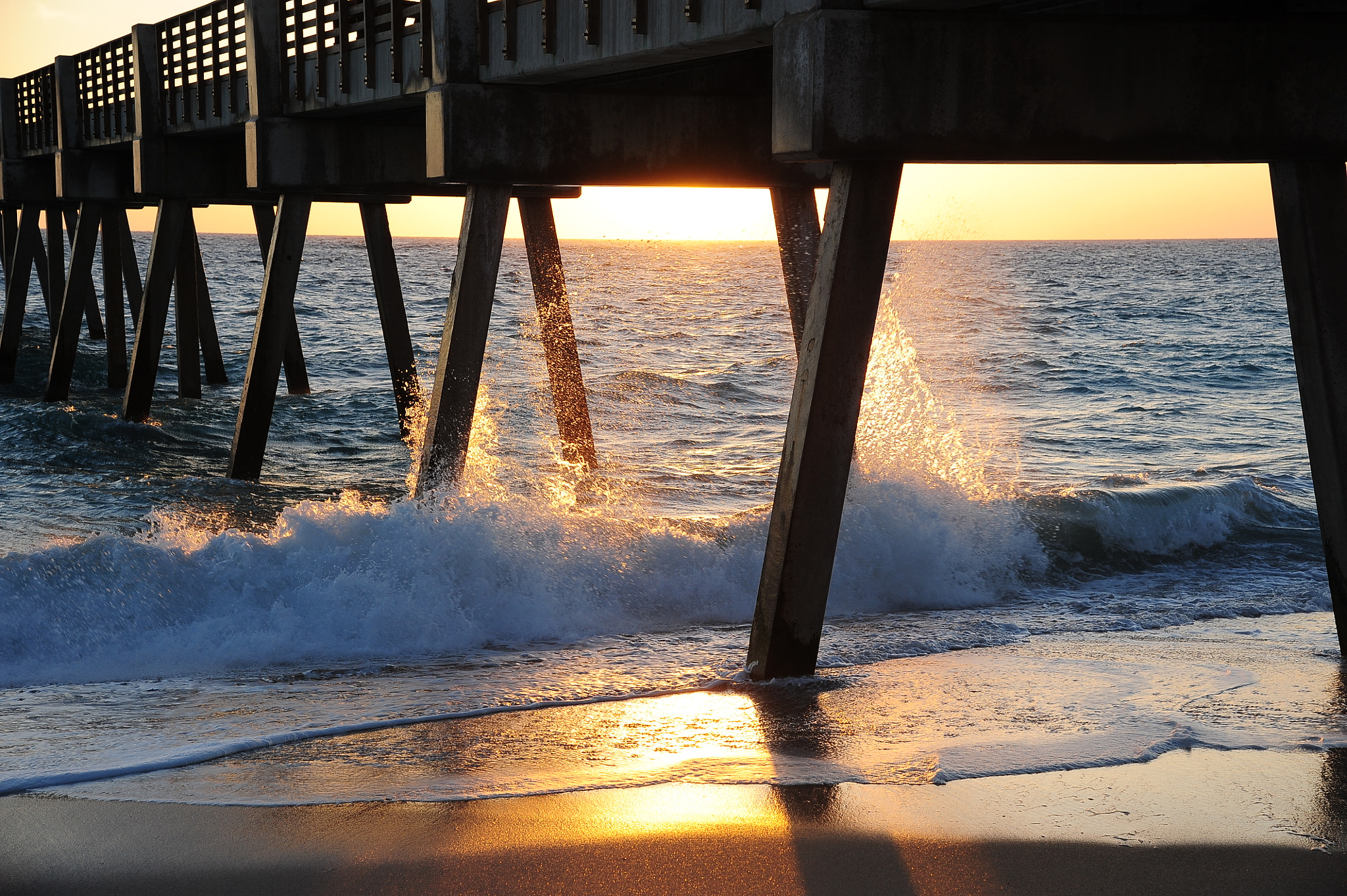 Nikon AF-S Nikkor 24-120mm F4G ED VR sample photo. Vero beach photography