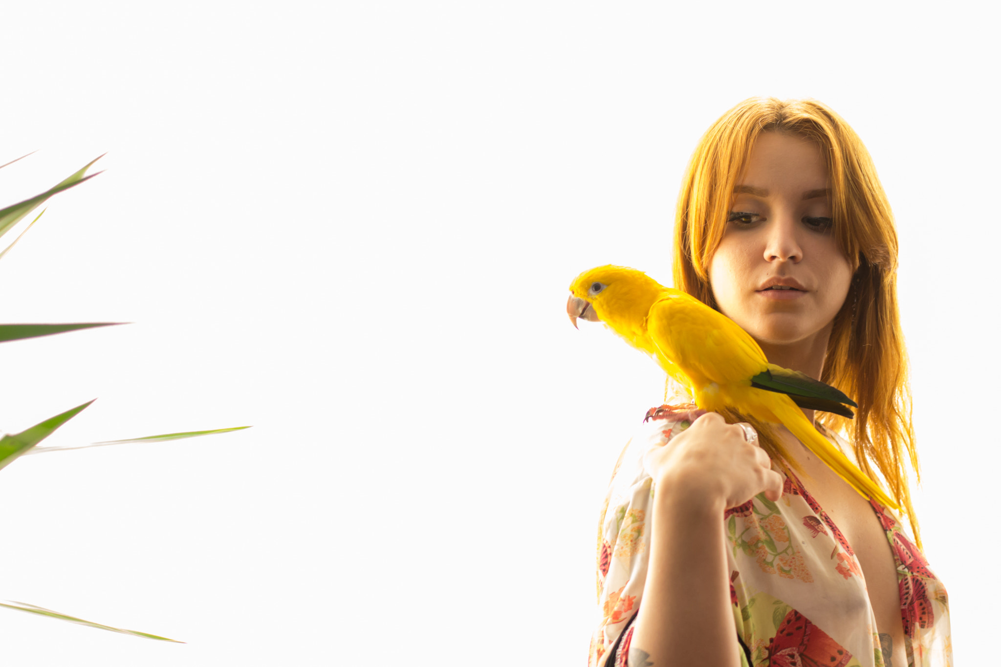 Canon EF 50mm F1.4 USM sample photo. Woman and bird photography