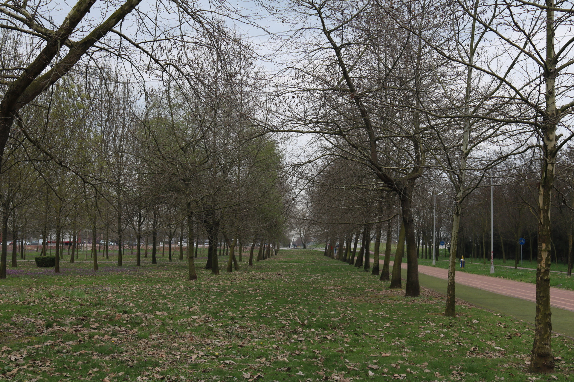 Canon EOS 760D (EOS Rebel T6s / EOS 8000D) sample photo