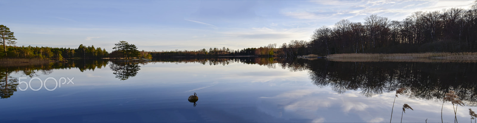 Nikon D5500 sample photo. Spegelblanka nömmen photography