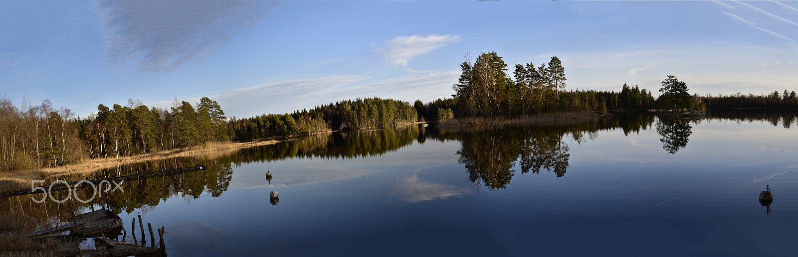 Nikon D5500 sample photo. Spegelblanka nömmen photography