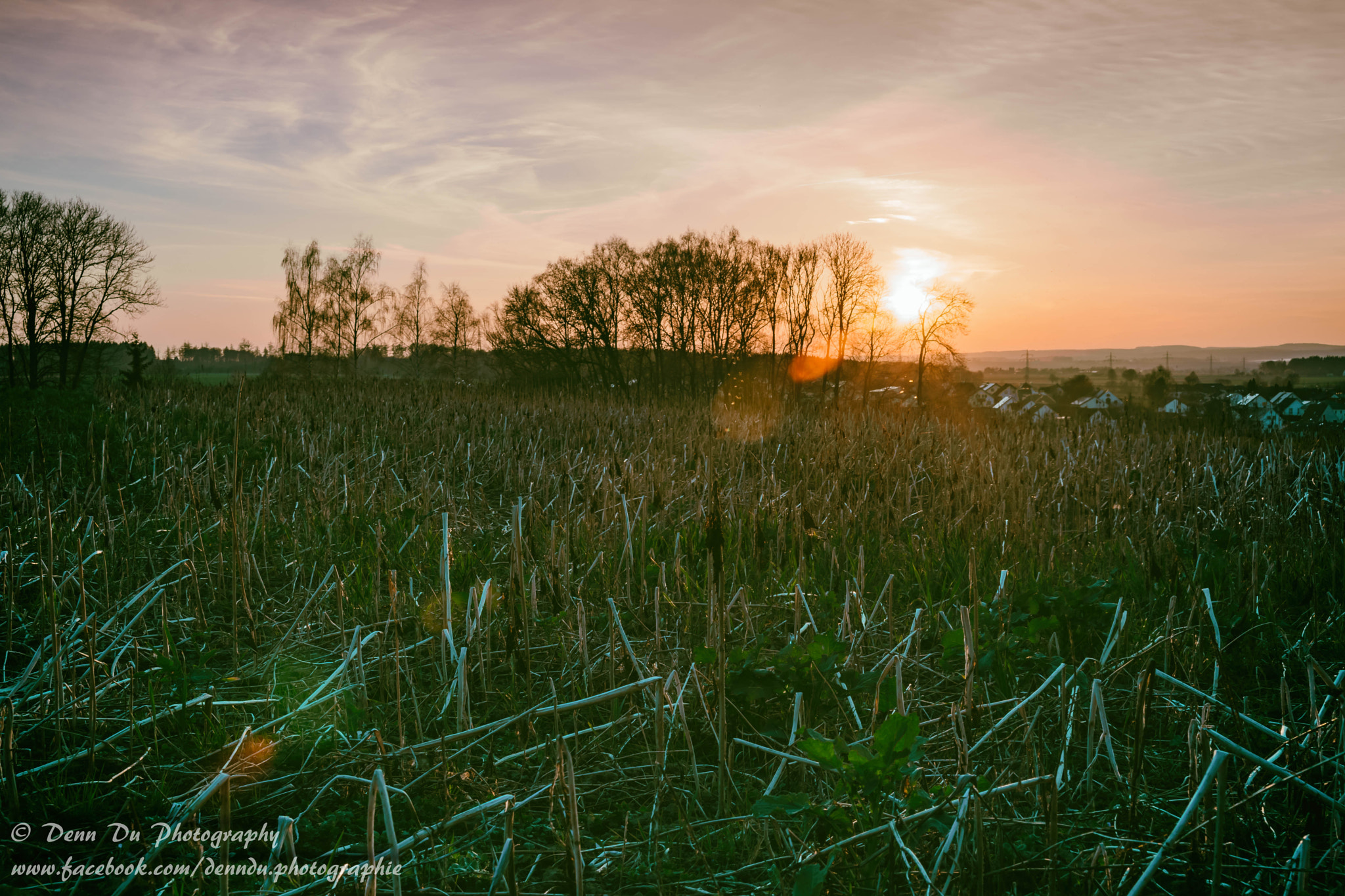 Tamron SP 24-70mm F2.8 Di VC USD sample photo. Sonnenuntergang neu bearbeitet photography