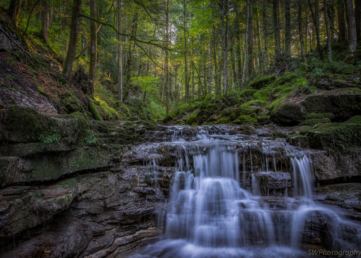 Sony a7 II sample photo. A little waterfall photography