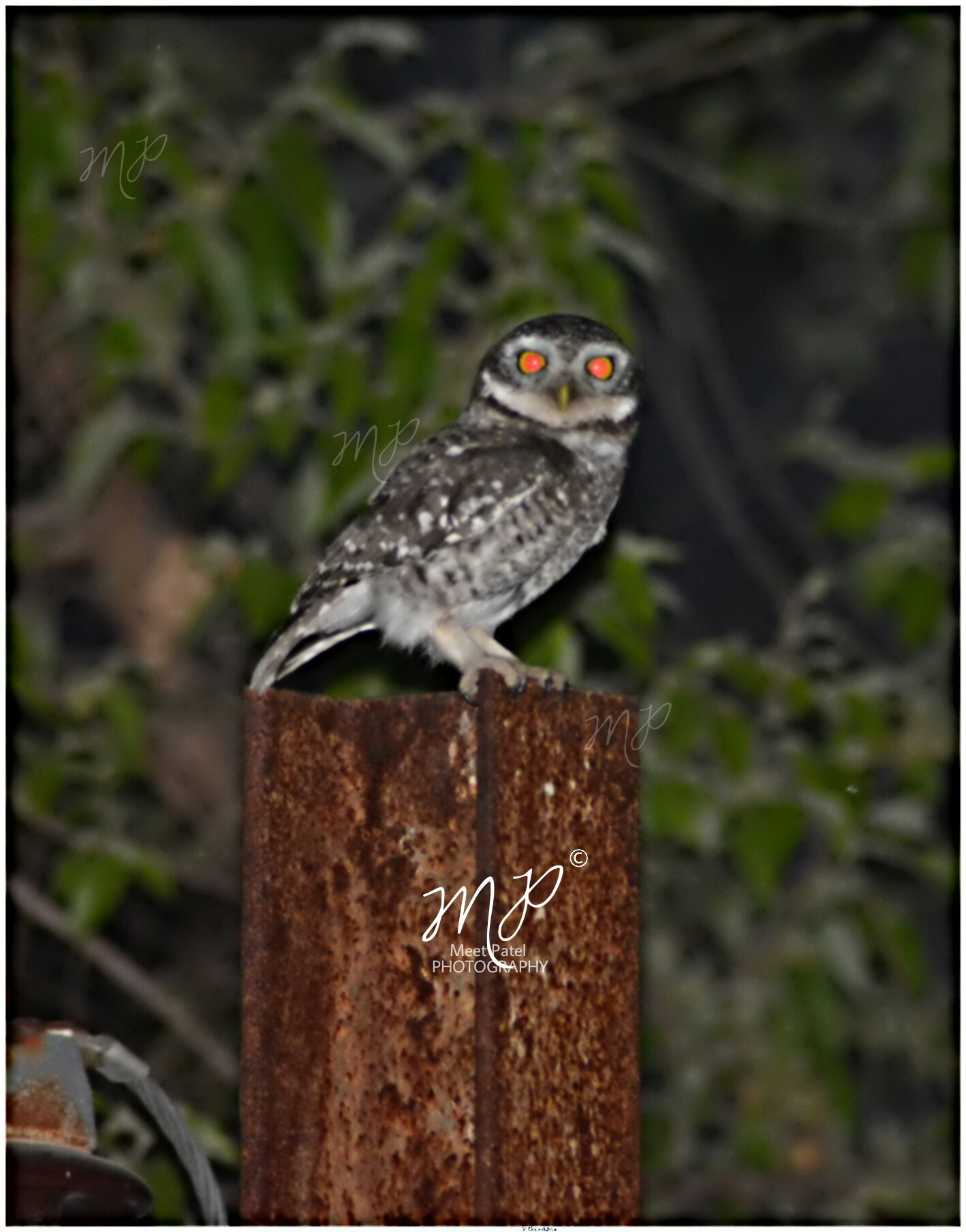 Nikon AF Nikkor 70-300mm F4-5.6G sample photo