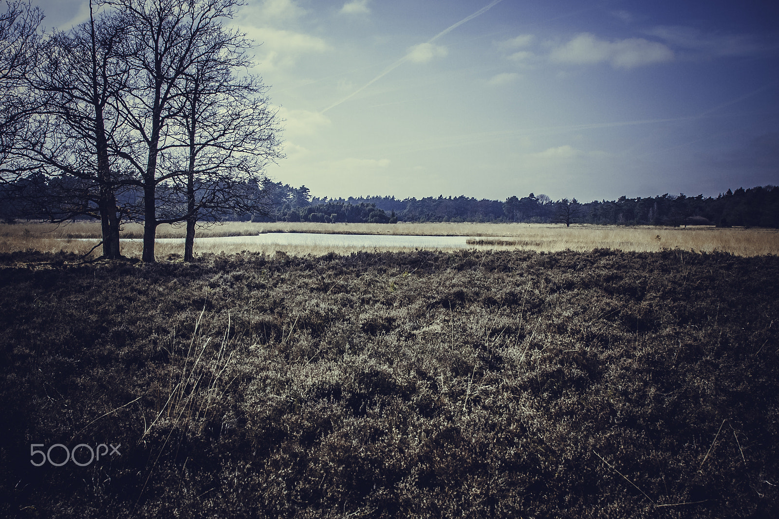 Canon EOS 40D + Canon EF 24-105mm F4L IS USM sample photo. Dwingelderveld 1 photography