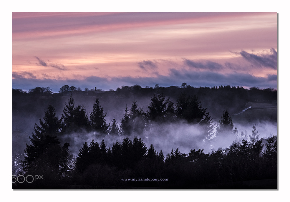 Nikon D810 + Sigma 50mm F2.8 EX DG Macro sample photo. The winds of winter photography