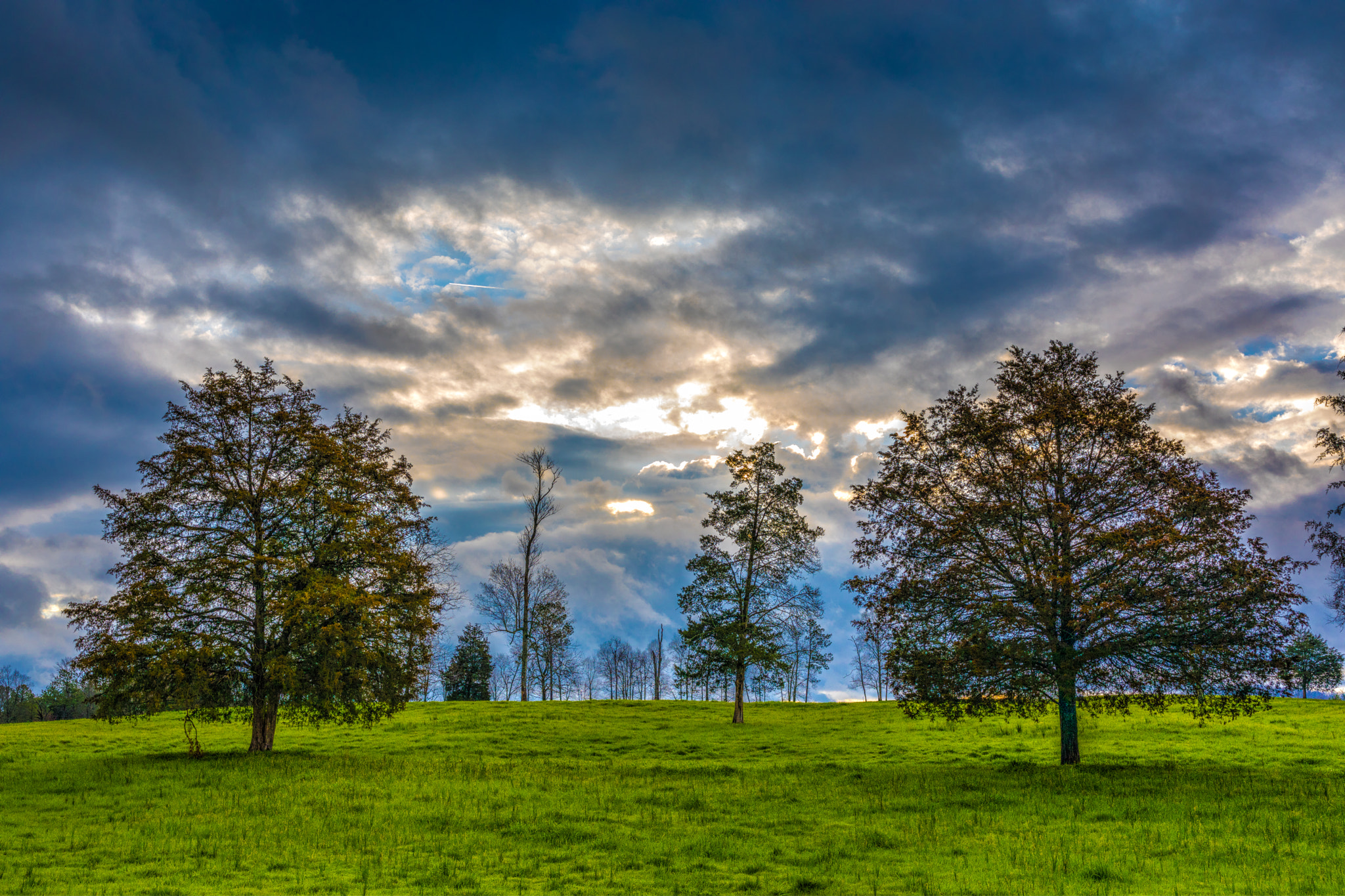 Canon EF 35mm F1.4L II USM sample photo. Morning at skelton farm photography